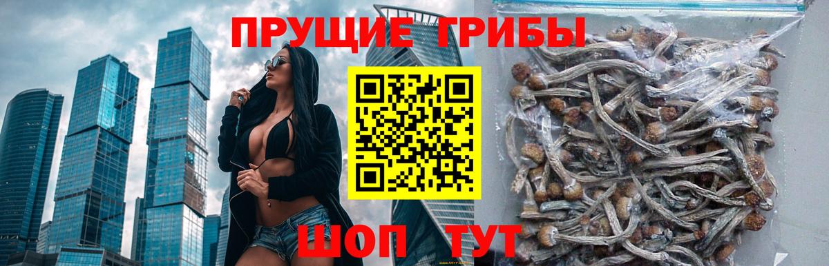 Псилоцибиновые грибы ЛСД Светлоград